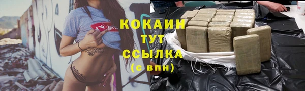 дживик Мегион