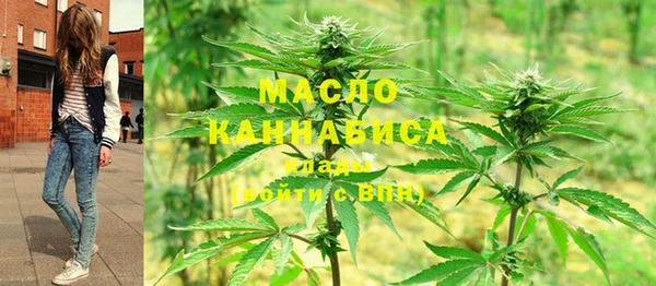 гидра Михайлов
