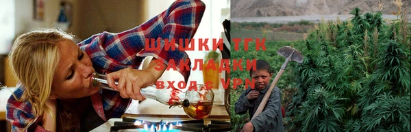 гидра Михайлов
