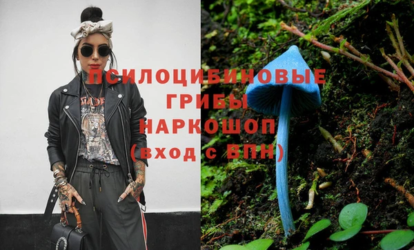 ешки Медногорск
