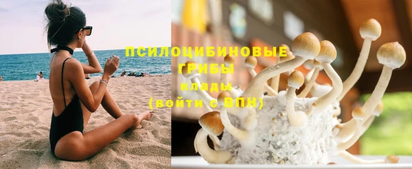 ешки Медногорск