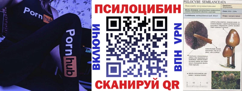 закладки  Сочи  Галлюциногенные грибы мицелий 