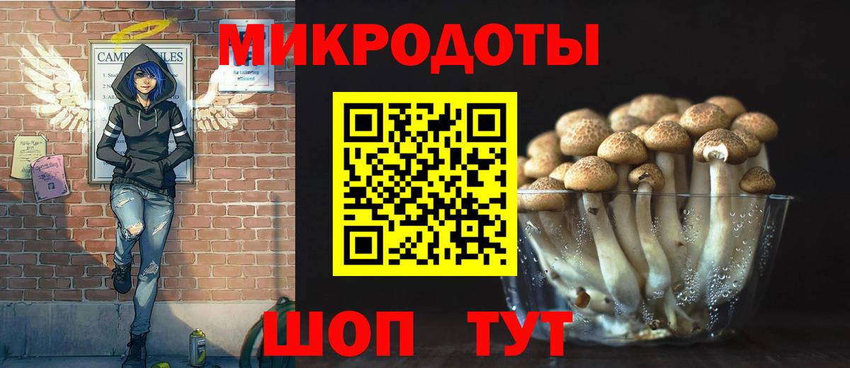 Галлюциногенные грибы Magic Shrooms  сколько стоит  Сочи  Вход с VPN 