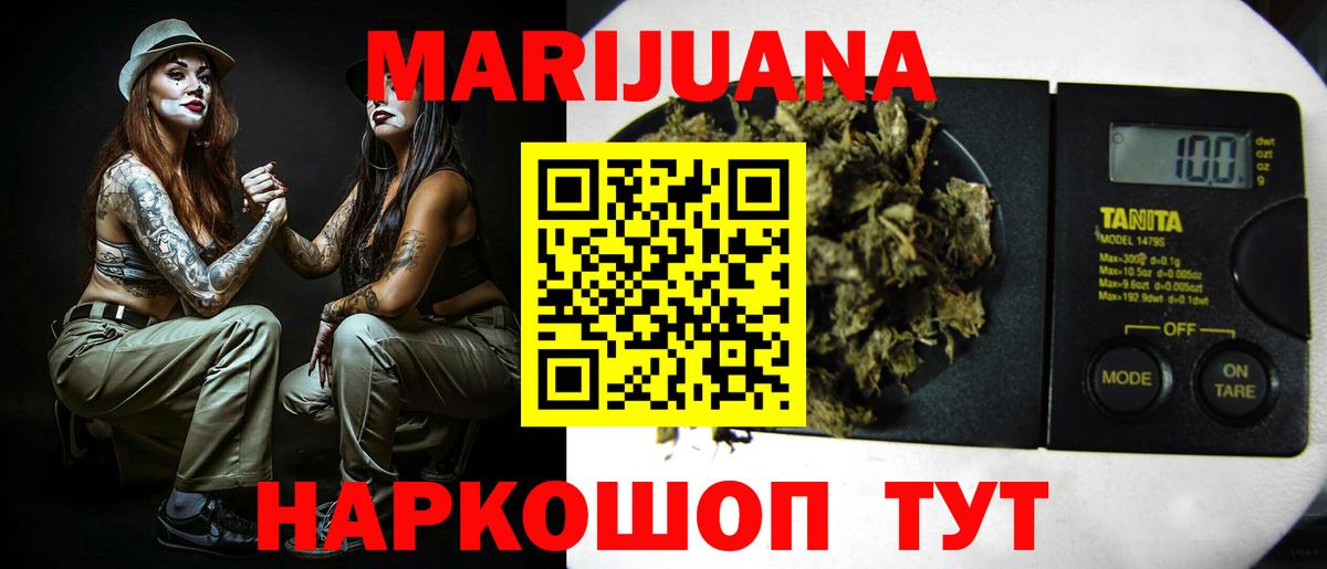 Каннабис сатива Сочи